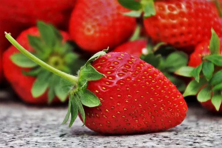 strawberry — fraise