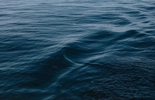 Моря — seas