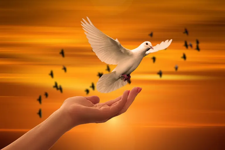peace — paix