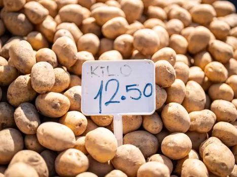 ¿A cuánto está el kilo? — Pošto je kilo?