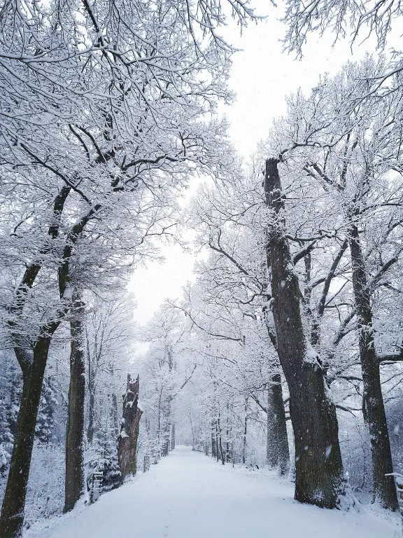 winter — hiver