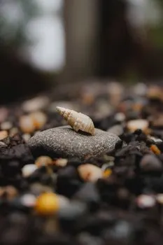 Галька — Pebble