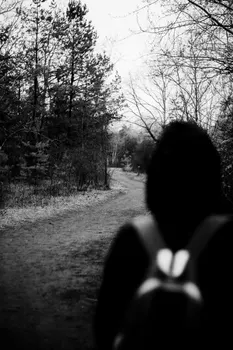 следовали по стопам — followed in the footsteps