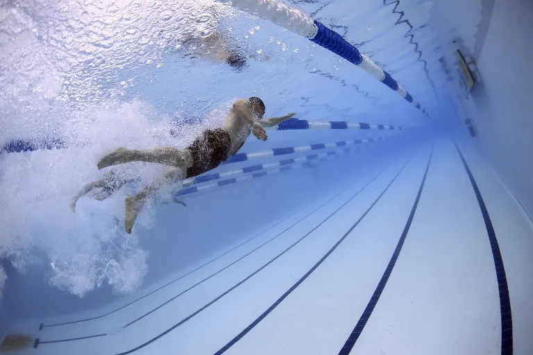 swim — nager
