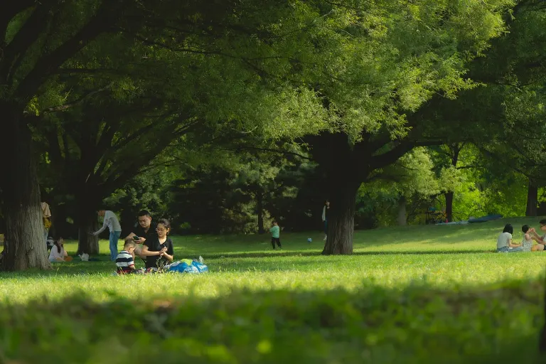 park — parc