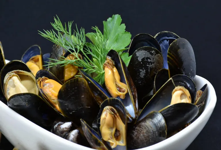 mussel — moule