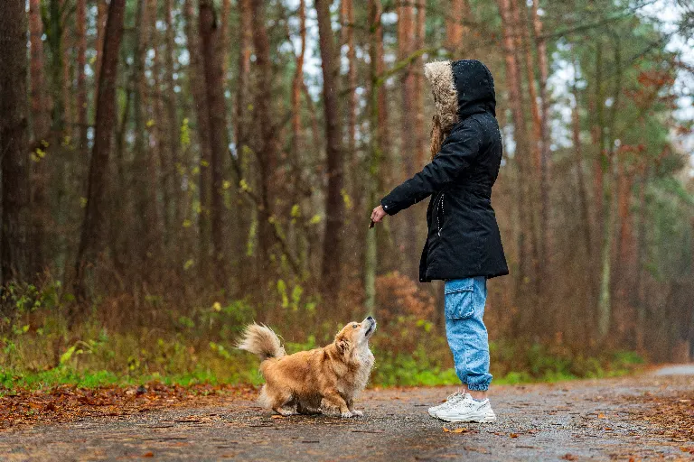 Ta on väga hästi kasvatatud — Ona jest bardzo dobrze wychowana