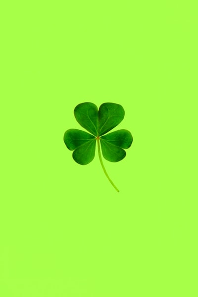chanceux — lucky