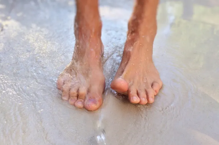 foot — pied