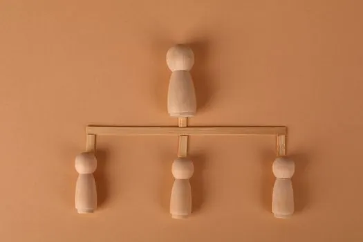 Система сдержек и противовесов — Checks and balances system