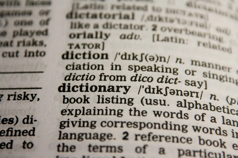 linguistic — linguistique