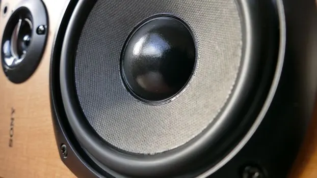Шумный — Noisy