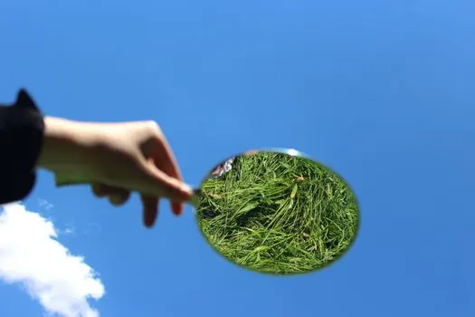 Отслеживать — posmatrati