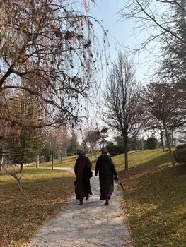 to walk — dar un paseo
