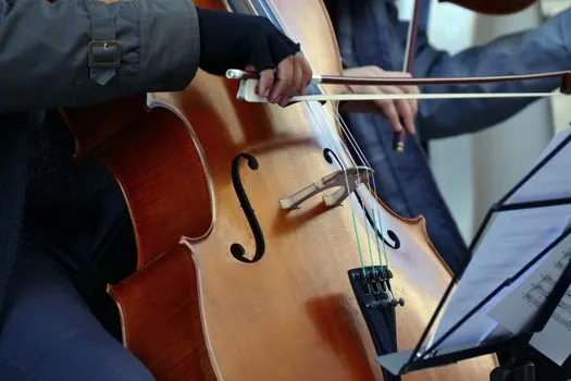 violoncelle — Cello