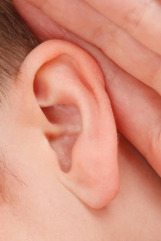 glue to my ears — un régal pour mes oreilles