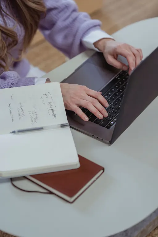 plan de recherche d'emploi — tööotsimiskava