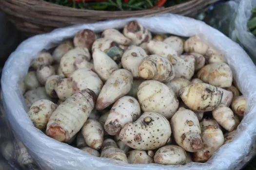 Картофель — Kartoffeln