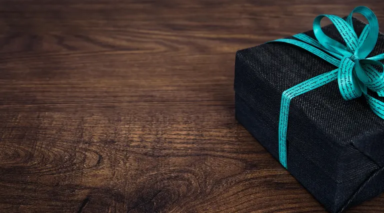 neatly packaged — soigneusement emballé