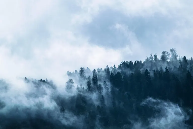 foggy — brumeux