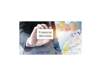 director financiero — Chief Financial Officer