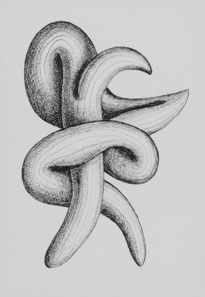 sangsue — Leech