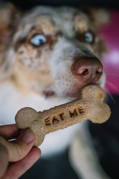 c'est moi qui offre — It's my Treat