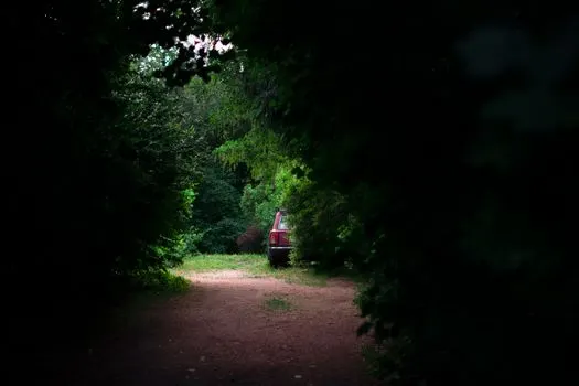 блуждать в лесу — wander off into the woods