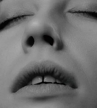 nos — nose