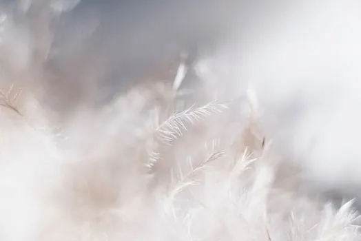 юбки из перьев — Feathery skirts
