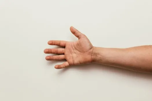 Конечности — appendages