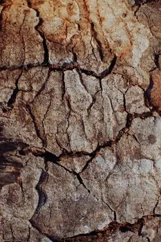 Трещины — cracks