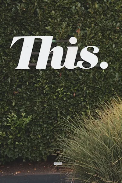 I feature this — je mets ceci à l'honneur