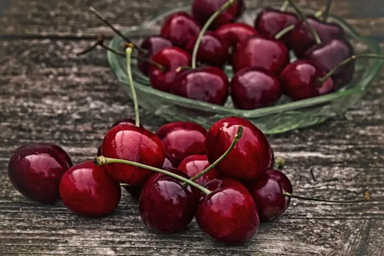 fruit — fruit