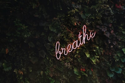 reprendre son souffle — catch your breath