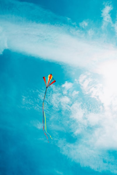 cerf-volant — Kite
