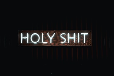putain de merde — Holy shit