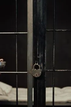 Заключение — Confinement
