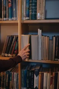 alıp — prendendo