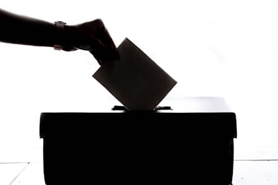 vote — voter