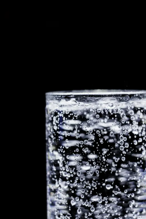 eau gazeuse — kisela voda