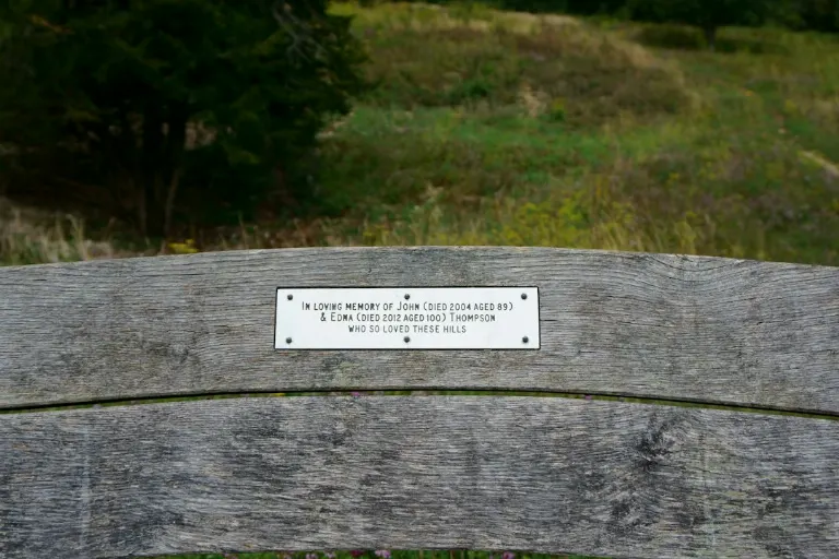 plaque — plaque