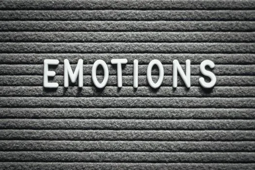 Чувства — sentiments