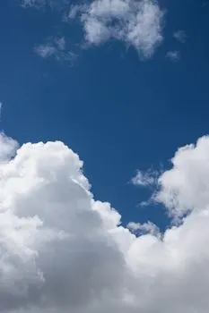 Не мог оторвать глаз. — Couldn’t keep my eyes off