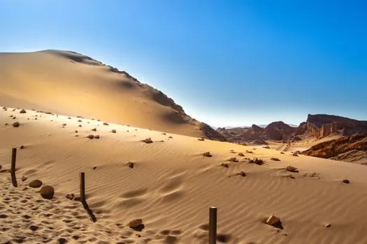 Dans le desert — in der Wüste