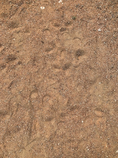 sol — floor