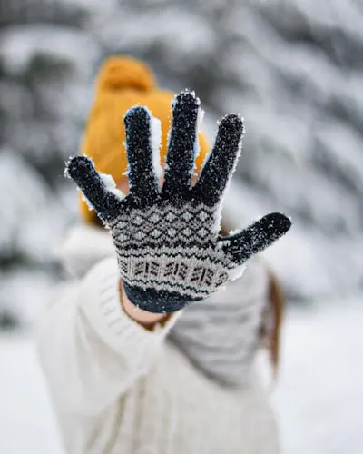 Knitted gloves — gants tricotés