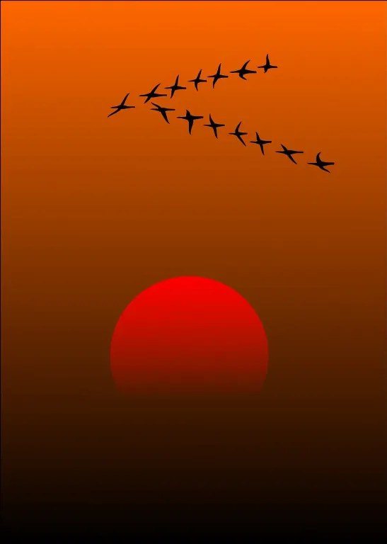 migration — migración
