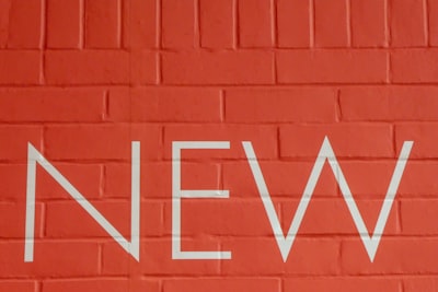 nouveau venu — newcomer
