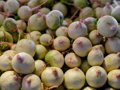 Репа — Turnip